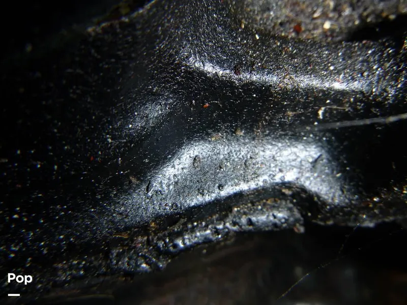 Slide: The Image of 1988 Wellcraft ST Tropez 3200 for sale in Meredith, NH - 24