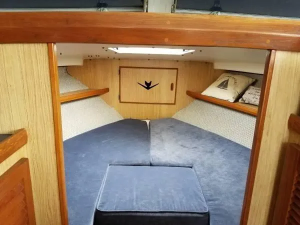 Slide: The Image of 1983 Bertram 28 boat cabin with cozy V-berth and wooden accents. - 13