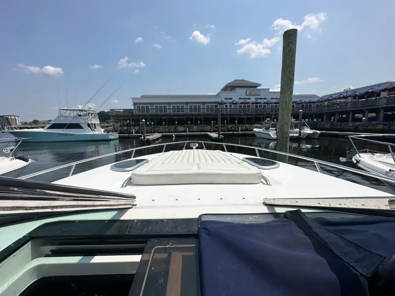 Slide: The Image of View from a 2005 Cobalt 360 Cruiser docked at a marina on a sunny day. - 8