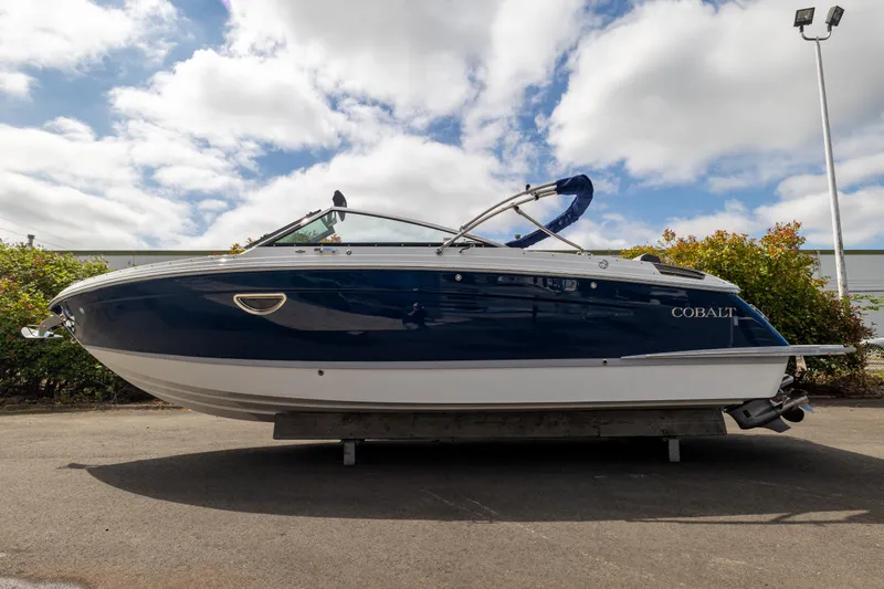 The Image of Cobalt R6 2024 - 1