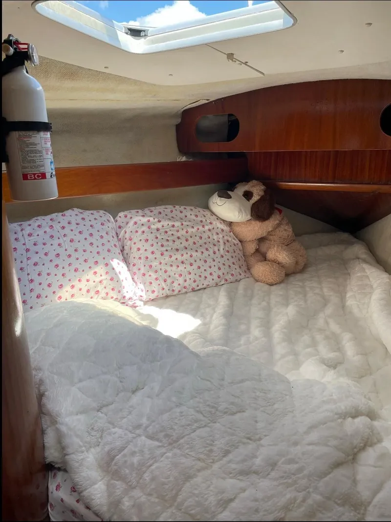 Slide: The Image of Cozy cabin interior of a 1990 Beneteau M38 sailboat with plush bedding and a stuffed dog. - 13