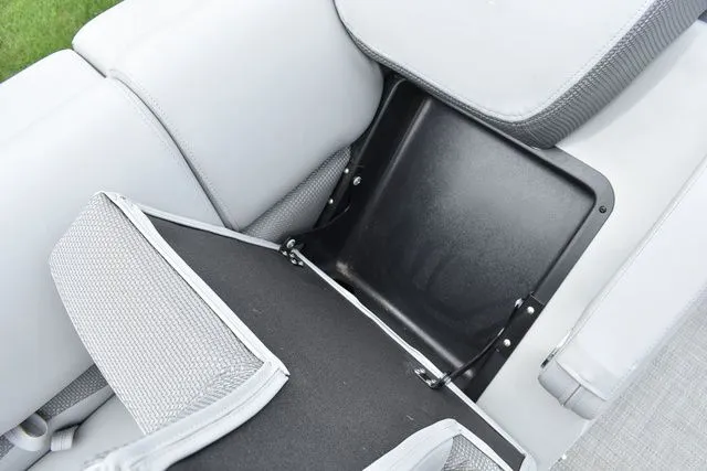 Slide: The Image of Regency 250 DL3 2024 - 17