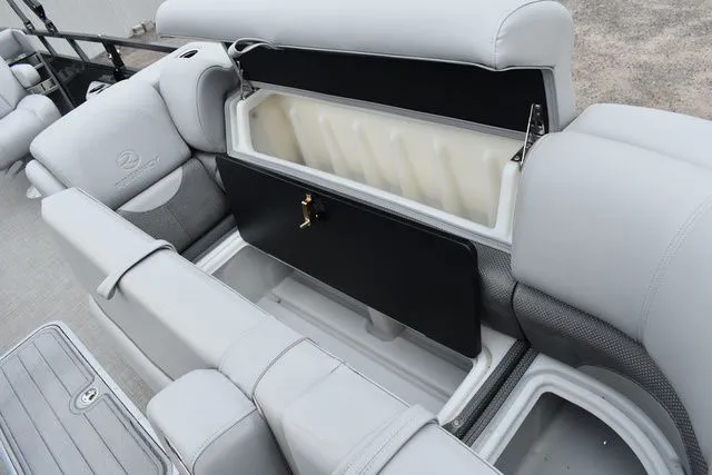 Slide: The Image of Regency 250 DL3 2024 - 19