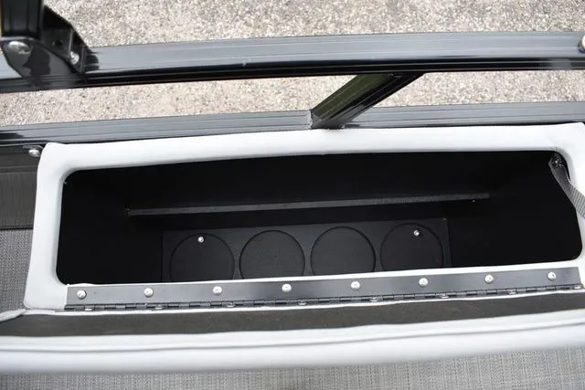 Slide: The Image of Regency 250 DL3 2024 - 31