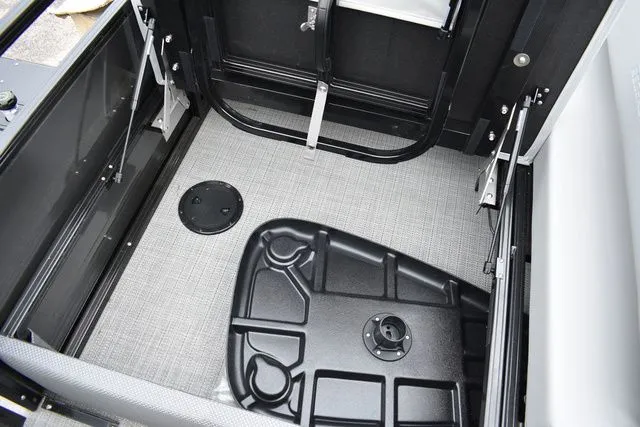 Slide: The Image of Regency 250 DL3 2024 - 33