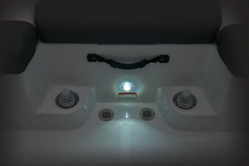 Slide: The Image of Tahoe T21 2024 - 115