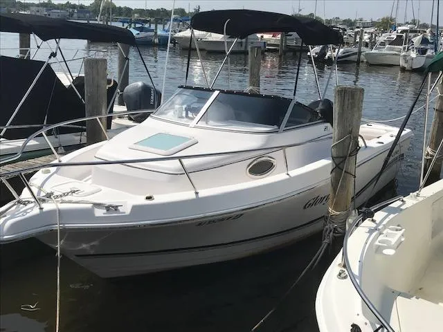 The Image of 2007 Pro-Line 21 Walk-Around boat docked at a marina. - 1