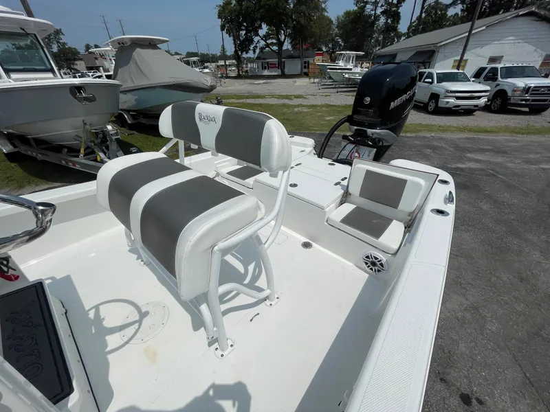 Slide: The Image of 2023 BlackJack 256 Bay boat with seating and Mercury outboard motor. - 17