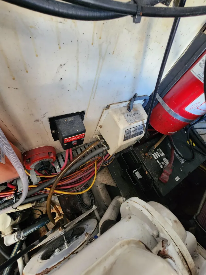 Slide: The Image of Luhrs 36 Open 2004 - 54