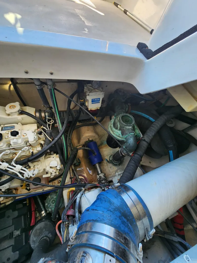 Slide: The Image of Luhrs 36 Open 2004 - 55