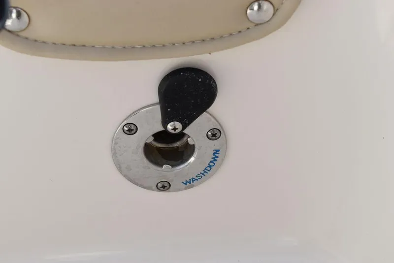 Slide: The Image of Carolina 19 LS 2021 - 50