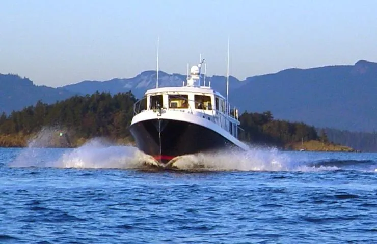 Slide: The Image of Semi-displacement performance - 31