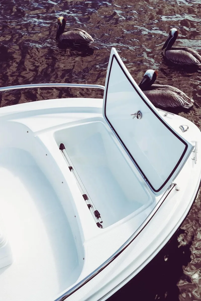 Slide: The Image of Edgewater 158CS 2024 - 4