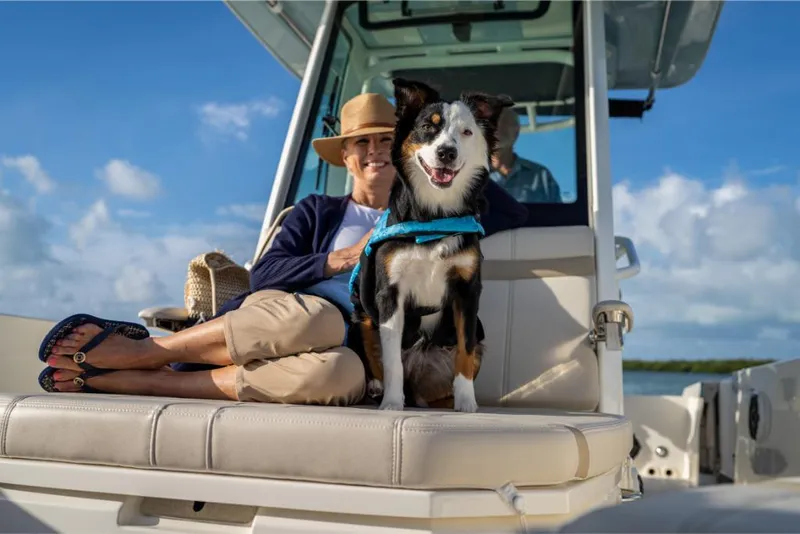 Slide: The Image of Boston Whaler 280 Dauntless 2024 - 67