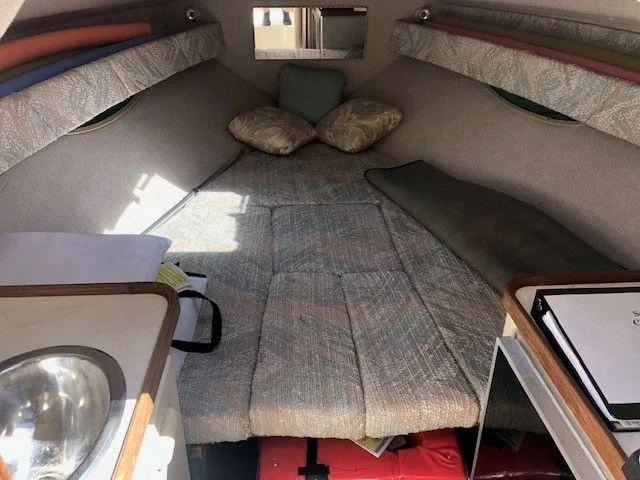 Slide: The Image of Image 13 - 13