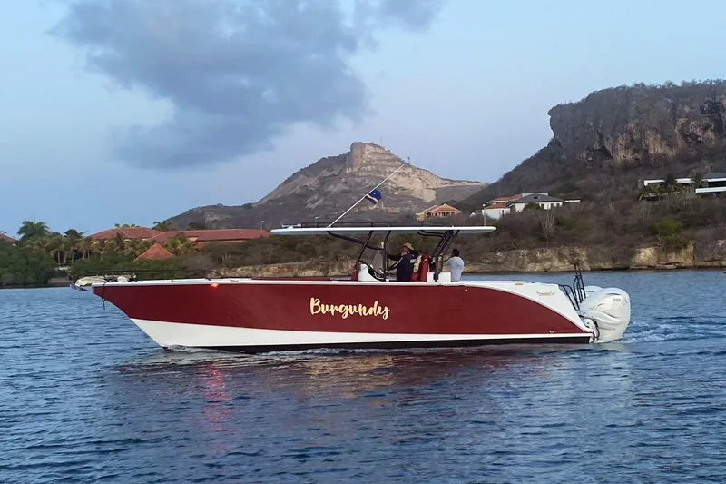 Slide: The Image of 2024 YachtCat 41 cruising on water with scenic mountain backdrop. - 29