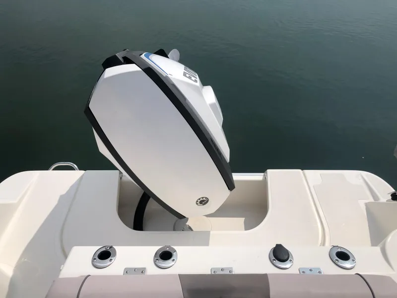 Slide: The Image of 2019 Wellcraft 242 Fisherman boat engine and control panel on calm water. - 31