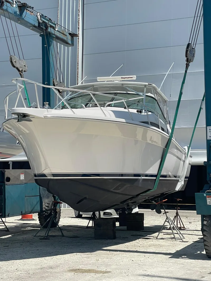 Slide: The Image of In the Slings - 16