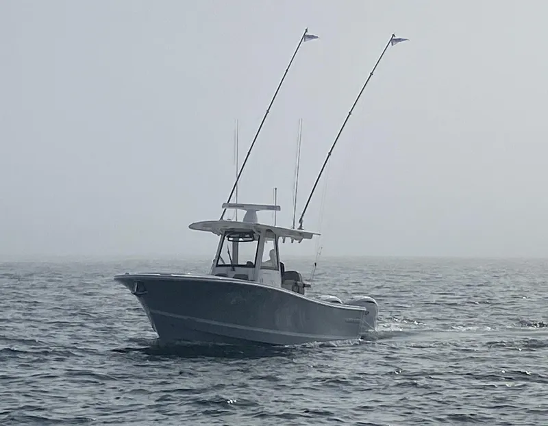 Slide: The Image of Regulator Marine 31 2024 - 51