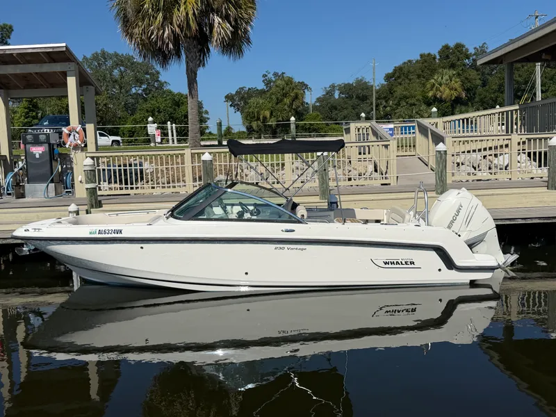 Slide: The Image of Boston Whaler 230 VANTAGE 2017 - 1