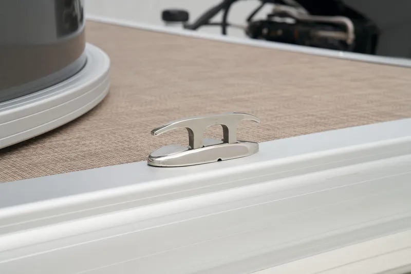 Slide: The Image of Party Barge 22 DLX - 42