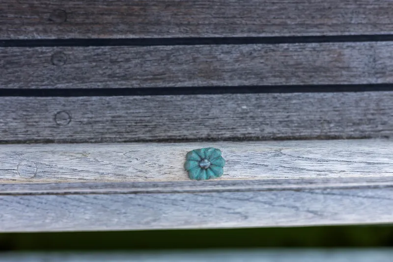 Slide: The Image of Weathered wooden deck with a small green flower ornament, Custom Gartside Downeast Cruiser 2009. - 45