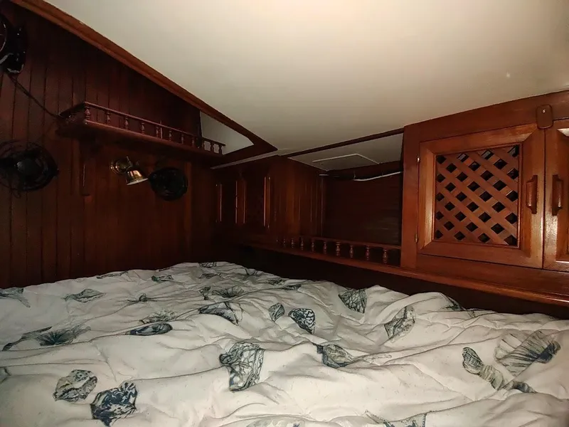 Slide: The Image of Bruce Roberts 450 1981 - 118