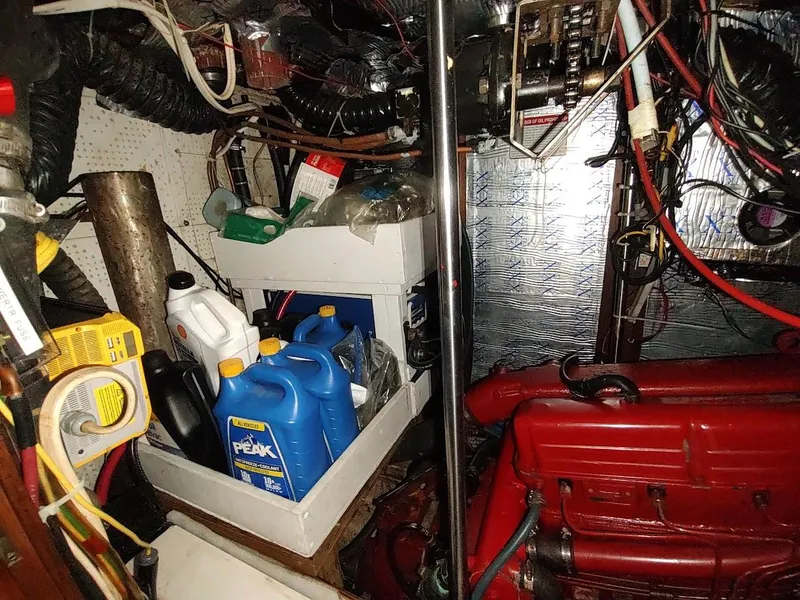 Slide: The Image of Bruce Roberts 450 1981 - 155