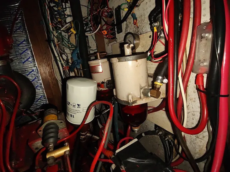 Slide: The Image of Bruce Roberts 450 1981 - 157