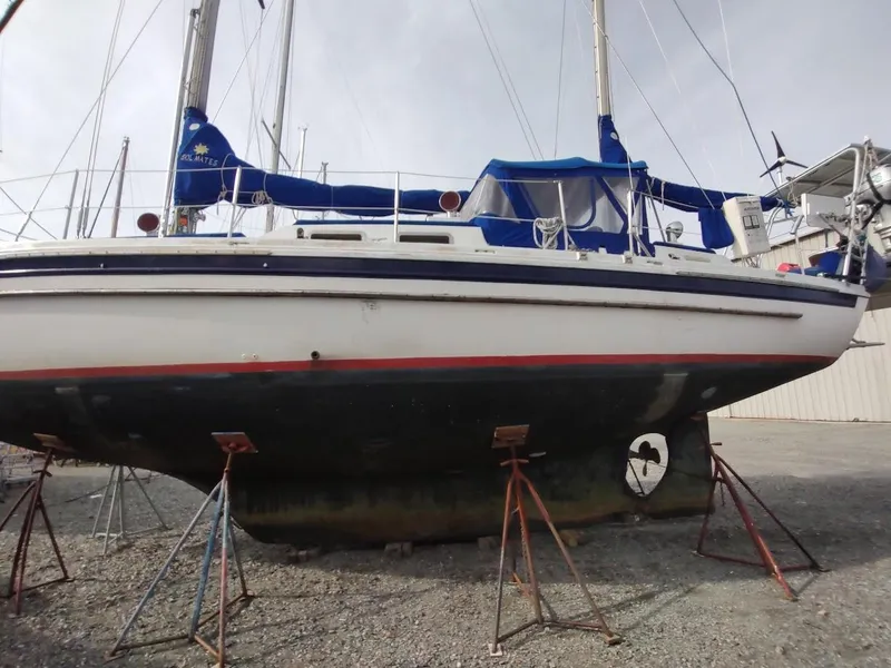 Slide: The Image of 1981 Bruce Roberts 450 sailboat on stands, featuring blue and white design, in a boatyard. - 7
