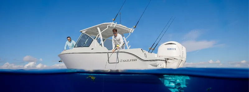 The Image of Sailfish Sailifish 256 DC 2027 - 0