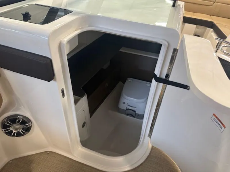 Slide: The Image of Sea Ray SDX 290 2022 - 13