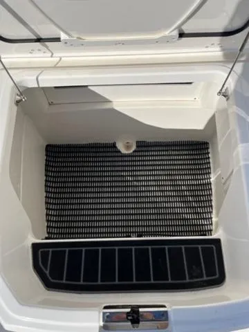 Slide: The Image of Boston Whaler 250 Dauntless 2021 - 11