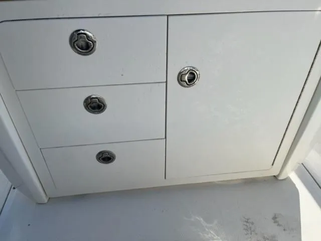 Slide: The Image of Boston Whaler 250 Dauntless 2021 - 13