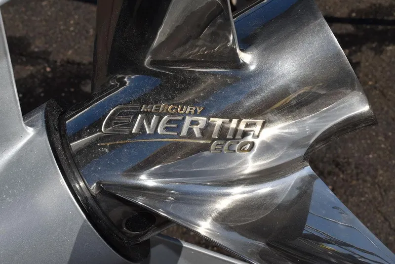 Slide: The Image of Monterey M-45 2024 - 66