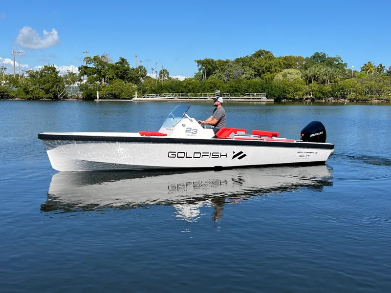 Slide: The Image of 2021 Goldfish 23 Tender boat on calm water, clear sky, lush greenery in background. - 0