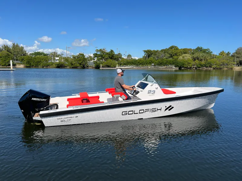 Slide: The Image of 2021 Goldfish 23 Tender boat on calm water, clear sky, lush greenery. - 5