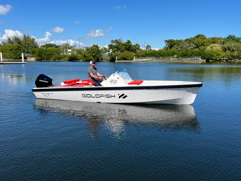 Slide: The Image of 2021 Goldfish 23 Tender boat on calm water, clear sky, lush greenery in background. - 6