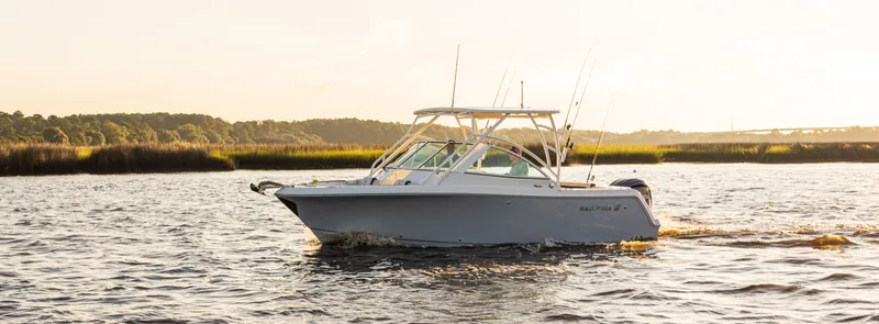 The Image of Sailfish 245 DC 2027 - 0