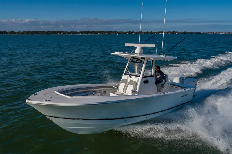 Slide: The Image of Regulator Marine 28 2024 - 5