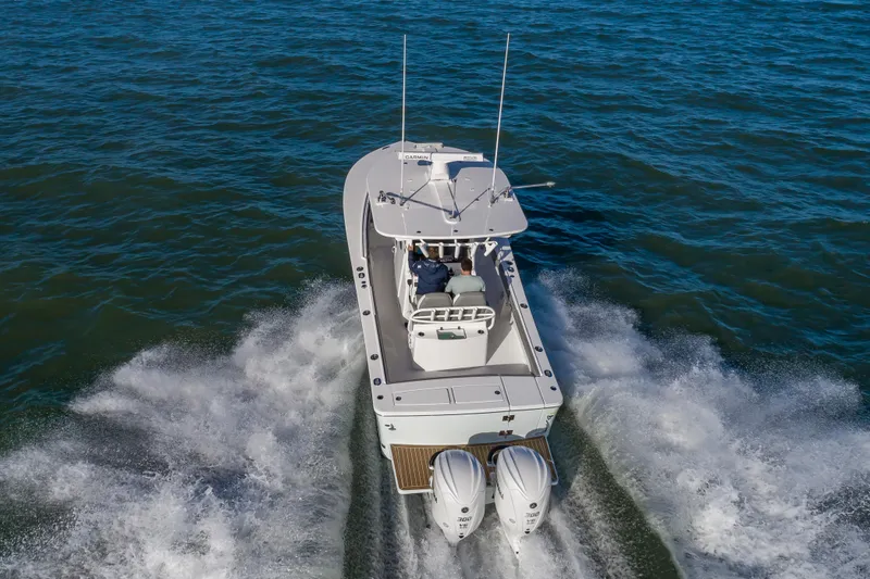 Slide: The Image of Regulator Marine 28 2024 - 7