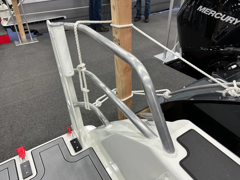 Slide: The Image of Cage with Ladder on Port Side Swim Platform - 31