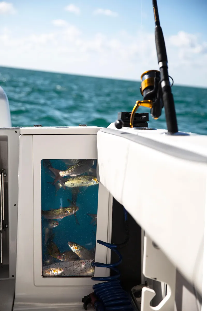 Slide: The Image of 2023 Blackfin 272CC fishing boat with live bait tank and fishing rod. - 40