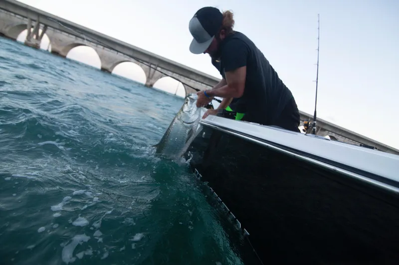 Slide: The Image of Man fishing from a 2023 Blackfin 272CC boat near a bridge. - 42