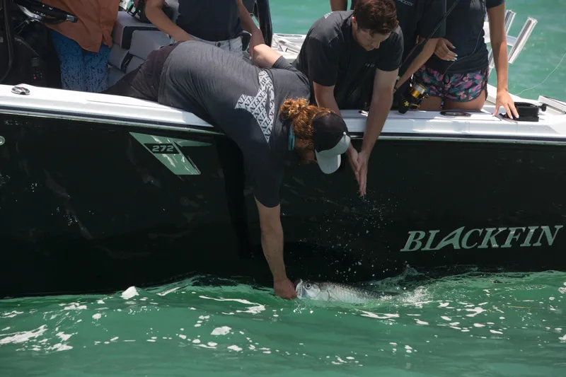 Slide: The Image of Blackfin 272CC 2023 - 63