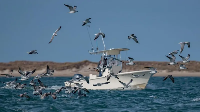 Slide: The Image of 2024 Jones Brothers Cape Fisherman 23 boat with three people fishing on open water. - 6