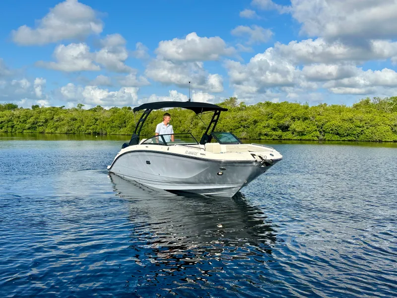 Slide: The Image of Sea Ray 290 SDX OB 2026 - 13