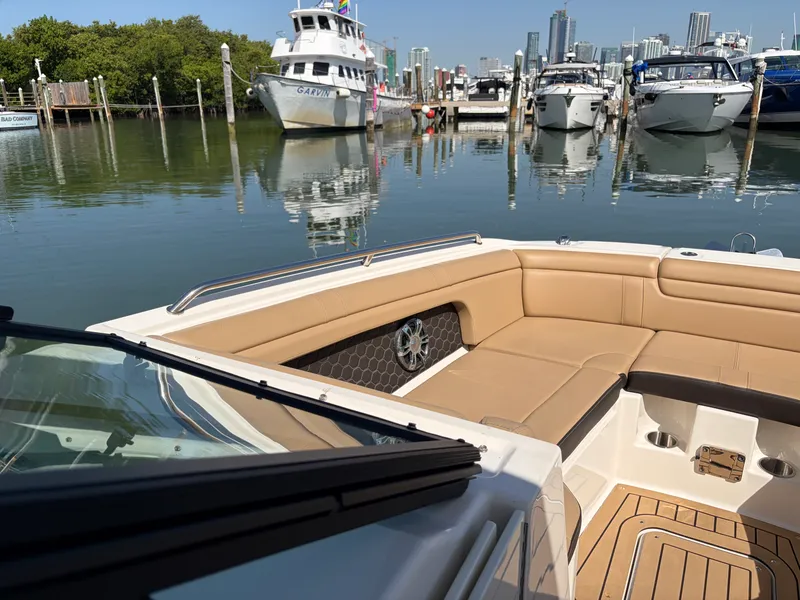 Slide: The Image of Sea Ray 290 SDX 2021 - 39