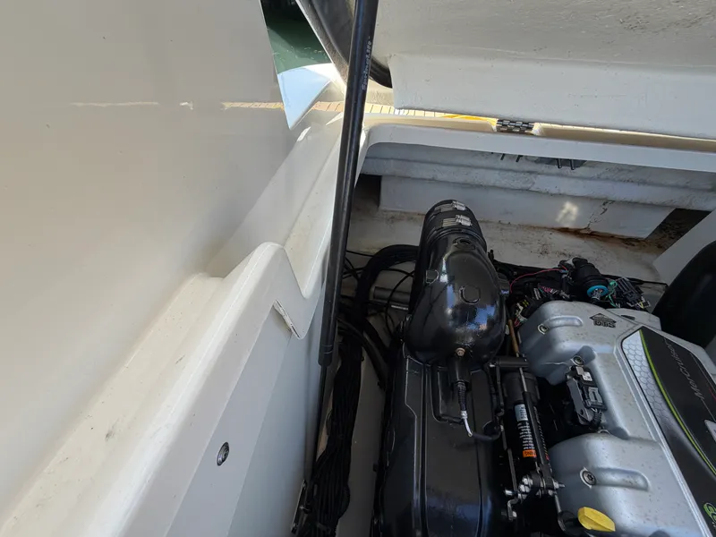 Slide: The Image of Sea Ray 290 SDX 2021 - 66