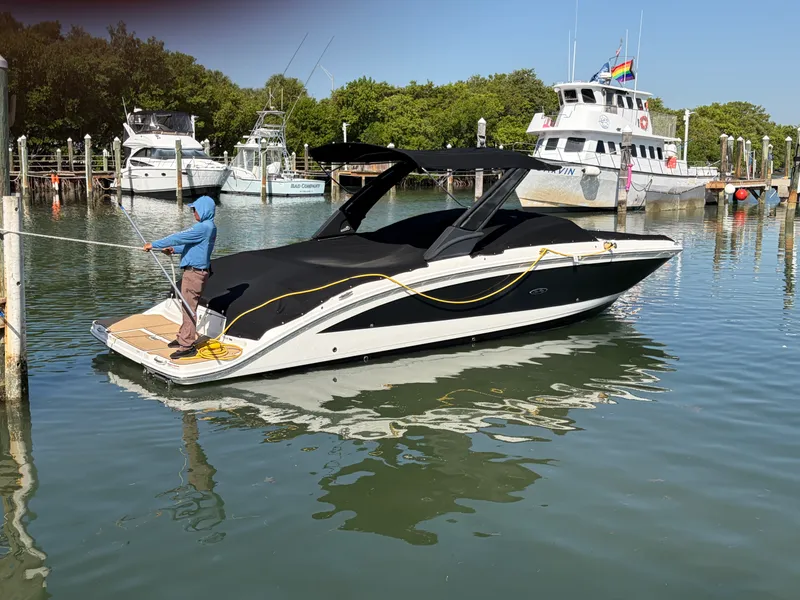 Slide: The Image of Sea Ray 290 SDX 2021 - 4